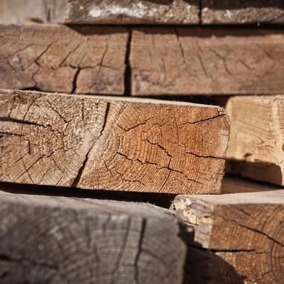 Holz